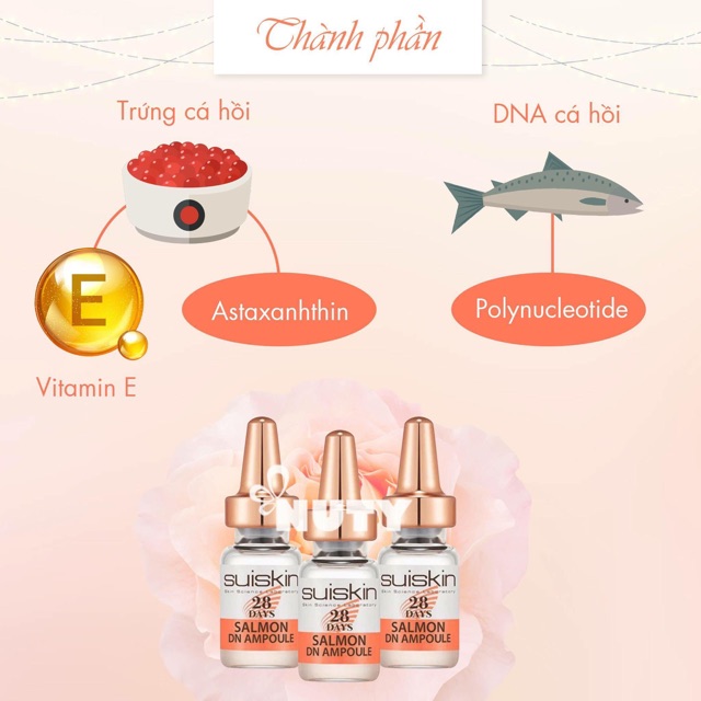 TẾ BÀO GỐC DNA CÁ HỒI SUISKIN HÀN QUỐC | BigBuy360 - bigbuy360.vn