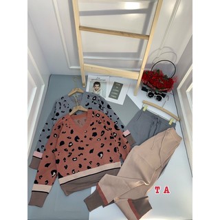 Set bộ len beo cổ v