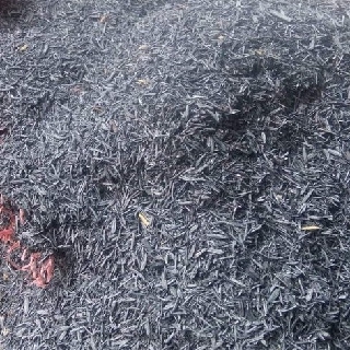 TRẤU HUN TRÔNG RAU, HOA KIỂNG GÓI 5DM