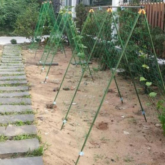 Lưới làm giàn dây leo (1.8m x 1.8m), lưới làm giàn cây Ollie net