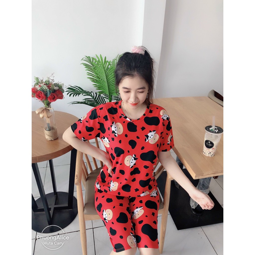 Bộ đồ mặc nhà hình bò sữa siêu dễ thương, thun cotton freesize dưới 57kg | BigBuy360 - bigbuy360.vn