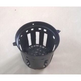 Chậu trồng lan phi 14cm giá sỉ
