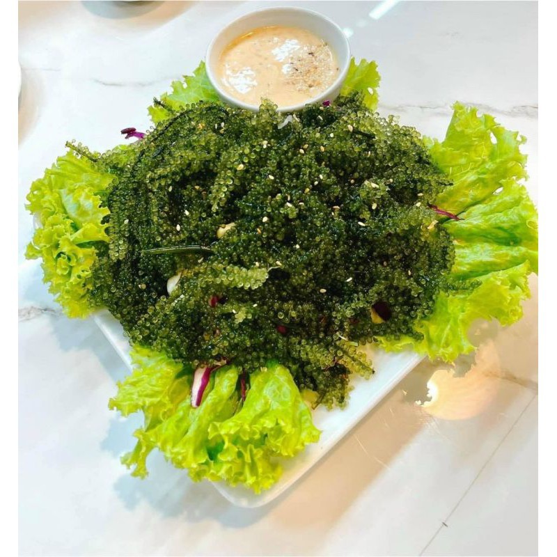 [FREESHIP] Rong Nho Tách Nước YUKIBUDO Sản Xuất Theo Công Nghệ Nhật Bản, Món Ăn Cực Kỳ Bổ Dưỡng, Bảo Vệ Sức Khỏe, Làn Da | BigBuy360 - bigbuy360.vn