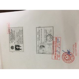 Combo 5  Nano Mầm Đậu Nành