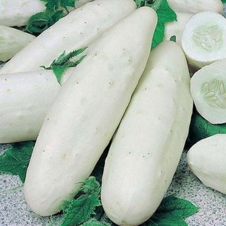 hạt giống dưa chuột trắng 30 hạt