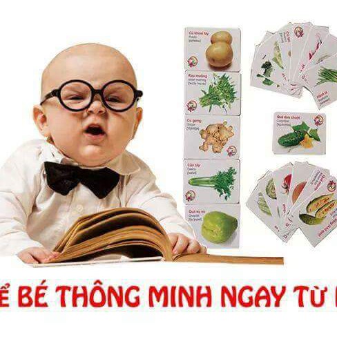 Thẻ Học Thông Minh Loại Lớn Song Ngữ Anh-Việt Theo Phương Pháp Glenn Doman