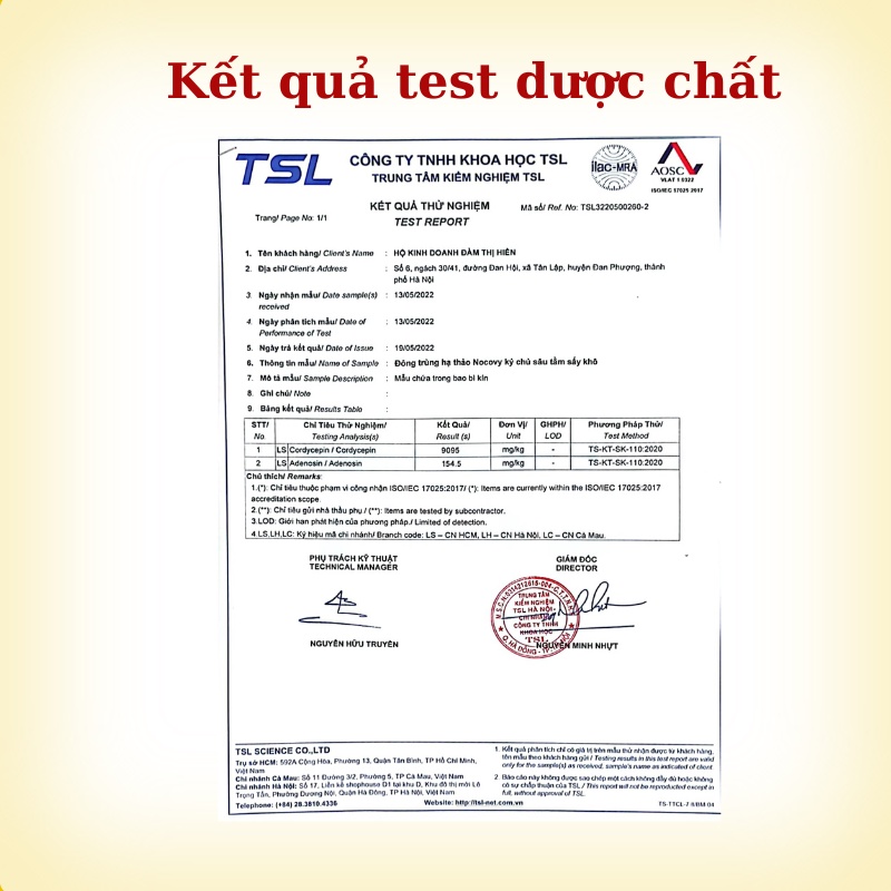Đông trùng hạ thảo khô nguyên con ký chủ sâu tằm NOCOVY sấy thăng hoa dược chất siêu vượt trội phòng u.ng th.ư