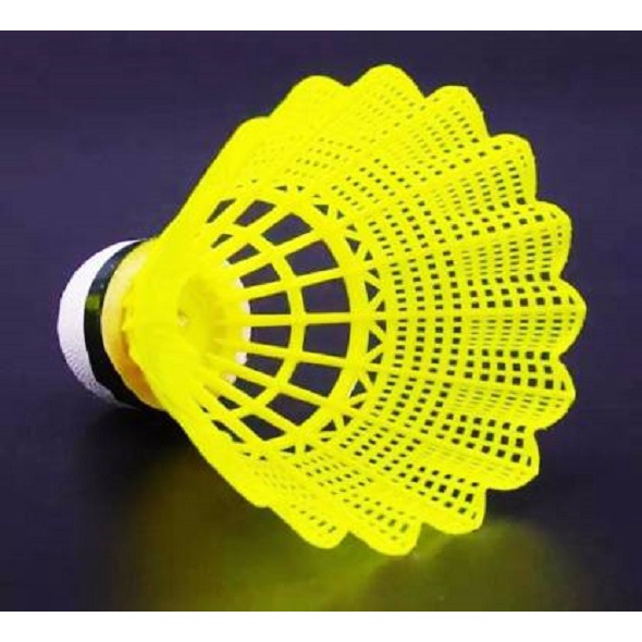 Ống Cầu Lông Nhựa Cao Cấp Chính Hãng Lining - Loại 6 Quả