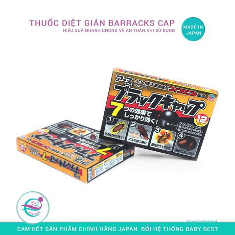 VIÊN DIỆT GIÁN NHẬT BẢN ( HỘP 12 VIÊN )