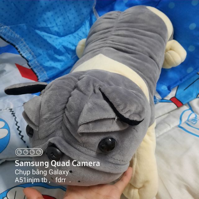 Gấu bông chó xám