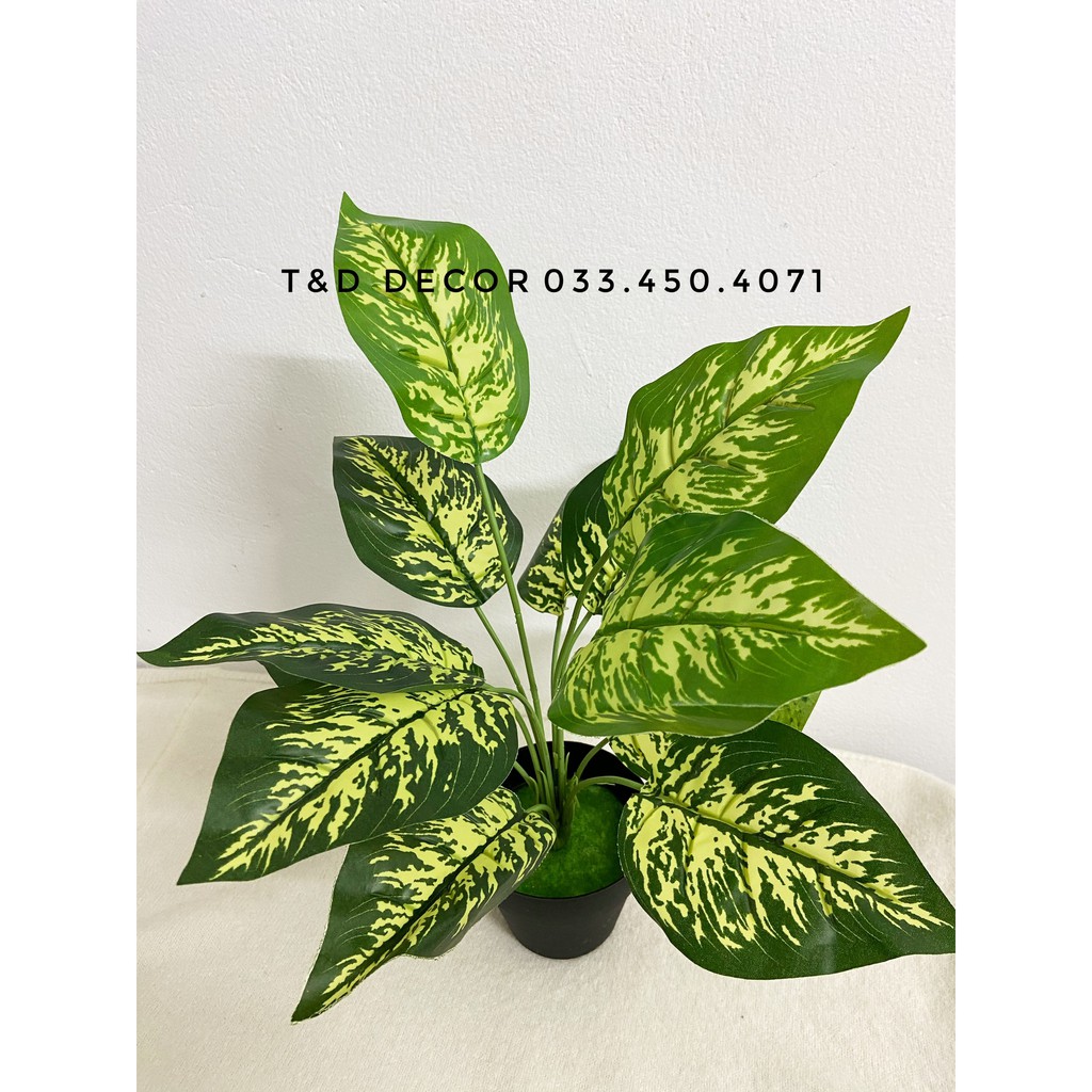 Cây giả decor- Cây lá đốm 30cm