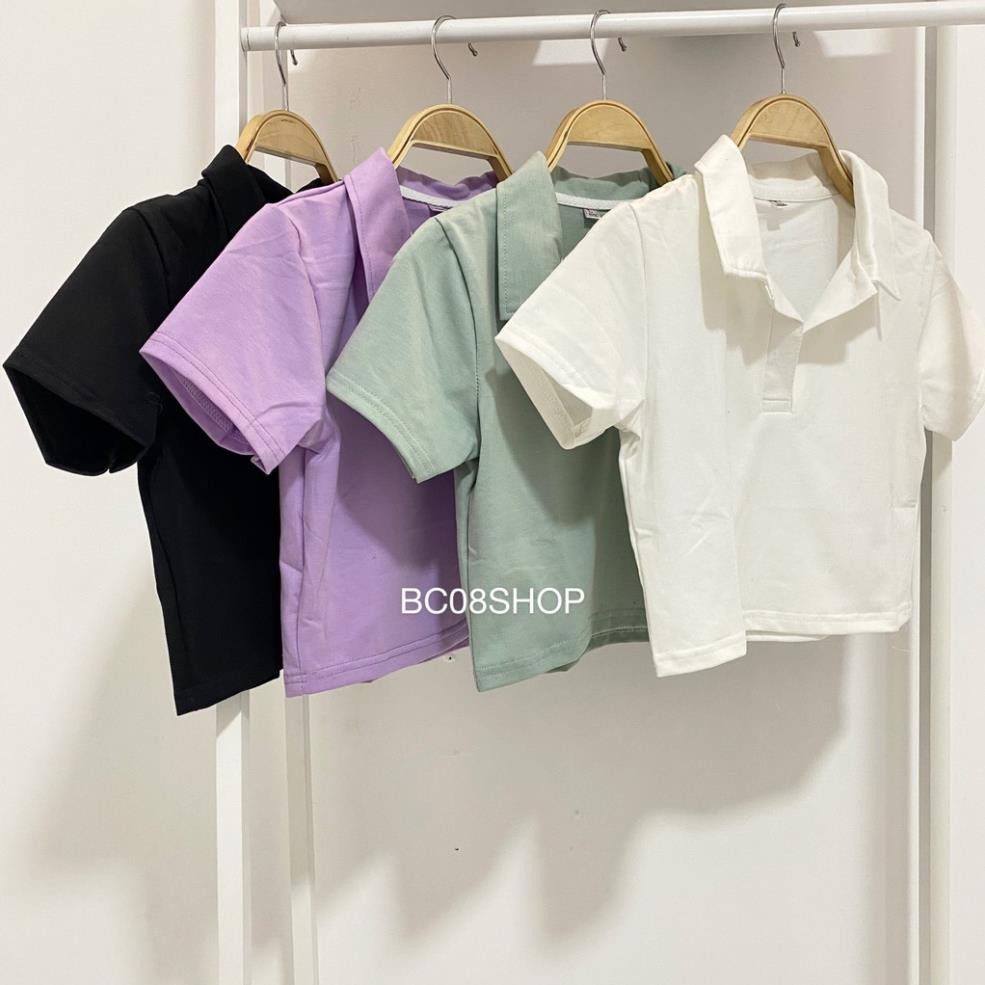 Áo Thun Croptop cổ bẻ 4 Màu (Trắng - Đen - Tím - Xanh ) ཾ ༷ 👑