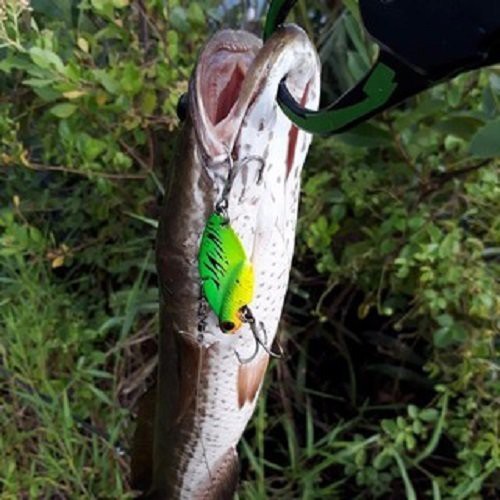 Mồi câu cá, Mồi cá sắt  Fishen - Cicada- Orichi, chuyên câu chìm, Mồi cá sắt câu lure cá lóc, cá chẽm siêu nhạy