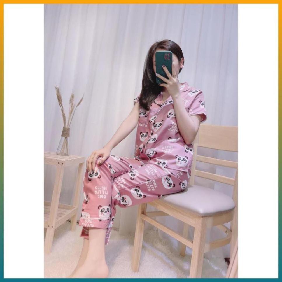 Bộ Đồ Pijama, Bộ Mặc Nhà Họa Tiết Hoạt Hình FreeSize Siêu Hot Hit | BigBuy360 - bigbuy360.vn