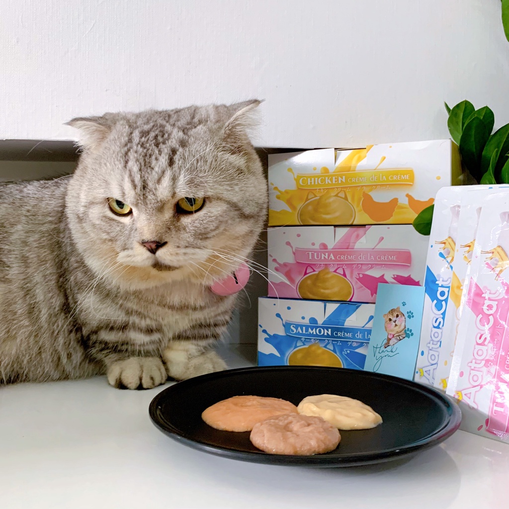 Súp Thưởng Cho Mèo Theo Set/Thùng