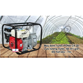 Máy bơm nước Pona CX30