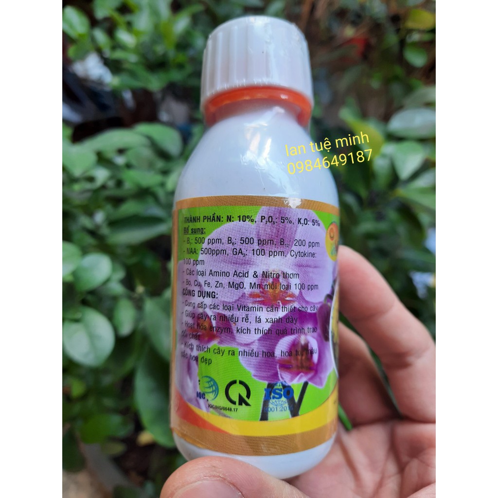 Vitamin 3B Dùng Giải Độc Cho Hoa Lan, Cây Cảnh