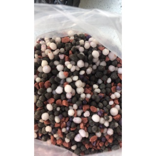 1kg phân npk 20/20/15 +te
