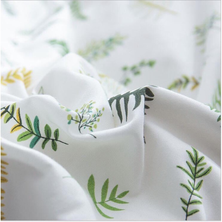 Bộ ga và 2 vỏ gối đầu Cotton nhập khẩu 100%( miễn phí bo chun)