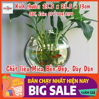 Bế Cá Cảnh Mini Treo Tường Tròn AQUARIUS (23.5 cm x 23.5 cm x 13 cm) [TẶNG KÈM PHỤ KIỆN]