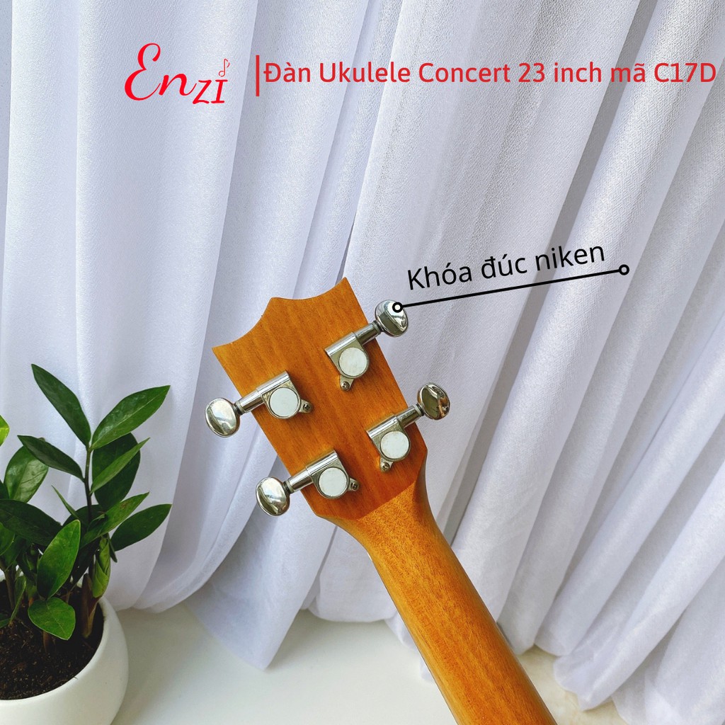 Đàn ukulele concert 23 inch Enzi C17D Viền hoa mặt trời với khóa đúc cao cấp và kèm khuy đeo dây tiện lợi