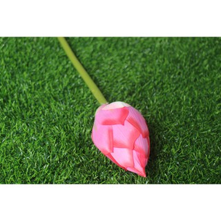Hoa sen vải lụa bông lớn 22-25cm