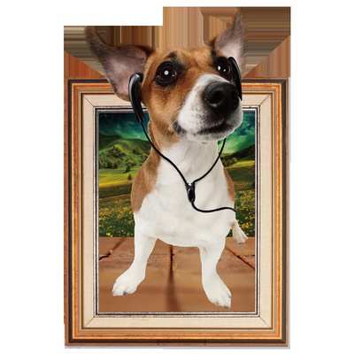 Decan dán tường đẹp, decan 3D chú chó SK9214N