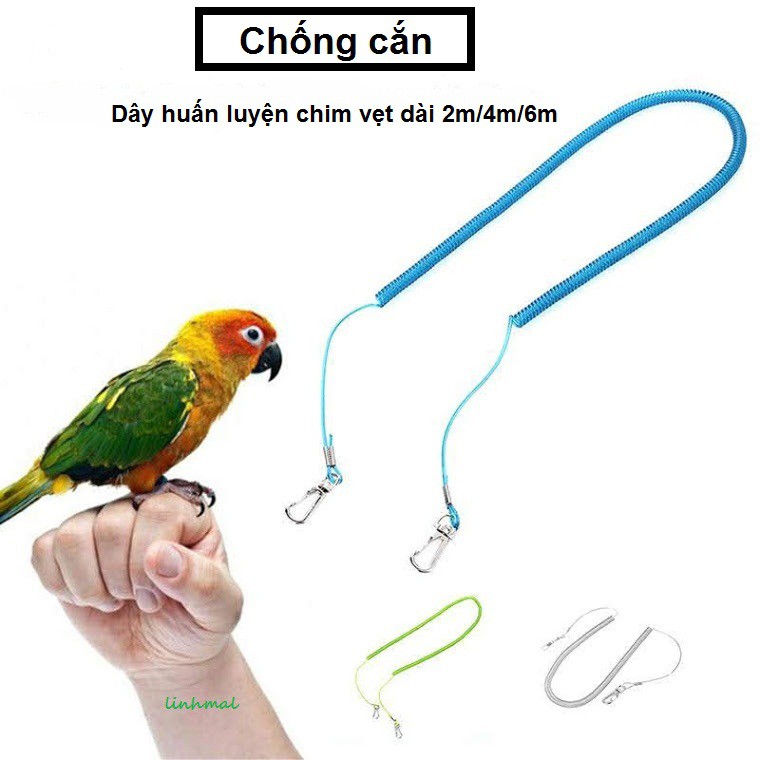 Dây bay lò xo cho vẹt chống cắn, chống bay