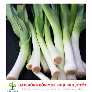 Hạt giống tỏi tây 2g .