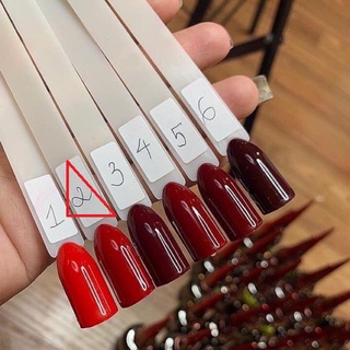 Sơn Gel Mxbon, Set Sơn Đỏ 6 Màu Đặc Biệt, Hàng Nhập Khẩu Màu Cực Chuẩn - Trùm Nail Mi