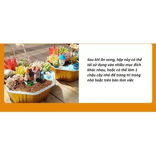 Cơm tự sôi bò nấm