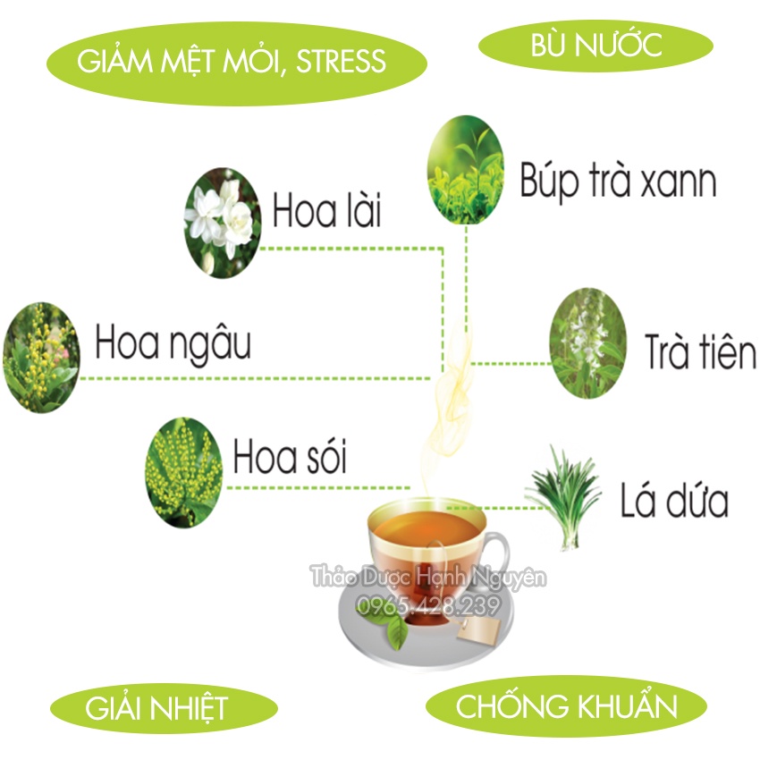 Trà sâm dứa túi lọc  thanh nhiệt, giải độc, mát gan - Thảo dược hạnh nguyên