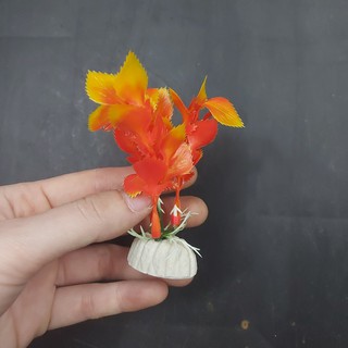 Cây cỏ nhựa