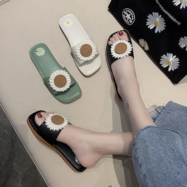 DÉP HOA CÚC ĐỦ MÀU