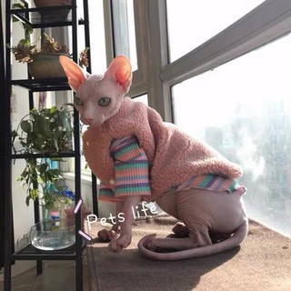 Quần áo mèo không lông, quần áo mùa xuân, mùa thu, quần áo, quần áo, quần áo, quần áo, quần áo, quần áo, quần áo, quần á
