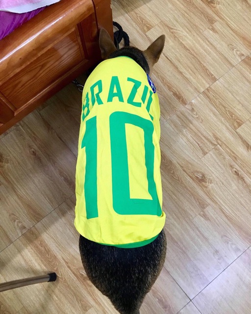 Áo bóng đá Brazil