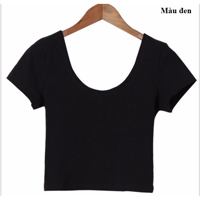 M15204 Áo thun nữ croptop ngắn tay chất cotton mềm mại cao cấp hàng nhập