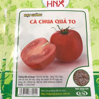 Hạt giống cà chua Quả to ☘️
