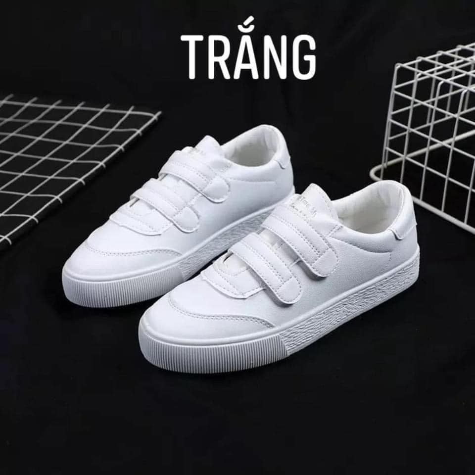 Giày Sneaker Khóa Dán Dáng Trơn Basic