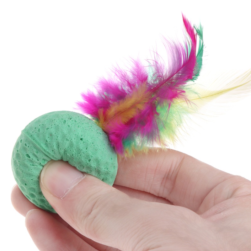 Set 10 Lông Vũ Đồ Chơi Cho Mèo