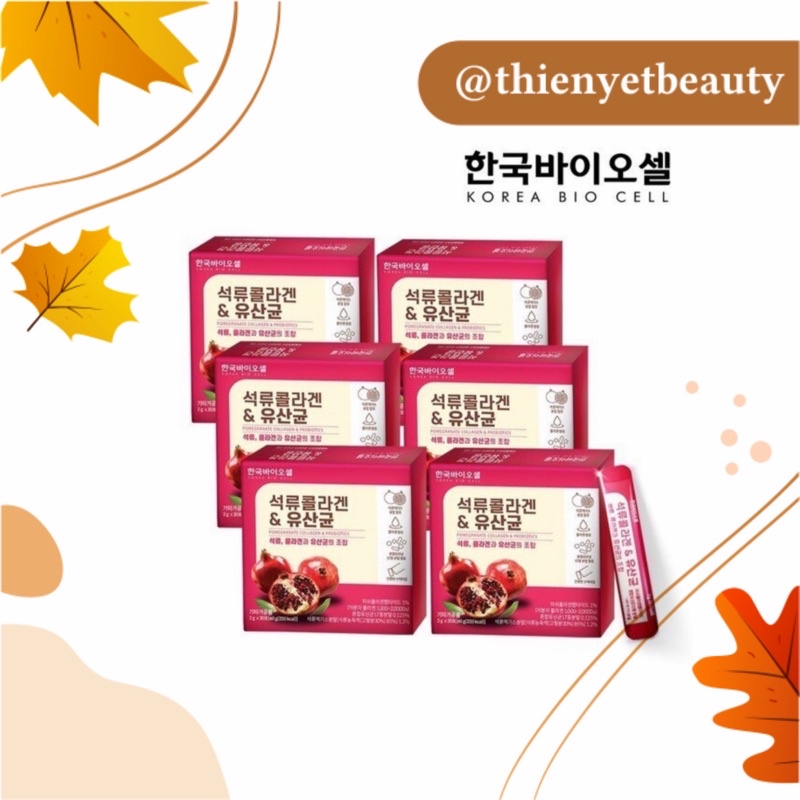 HỘP ĐỰNG 30 TÚI LỰU HÀN QUỐC