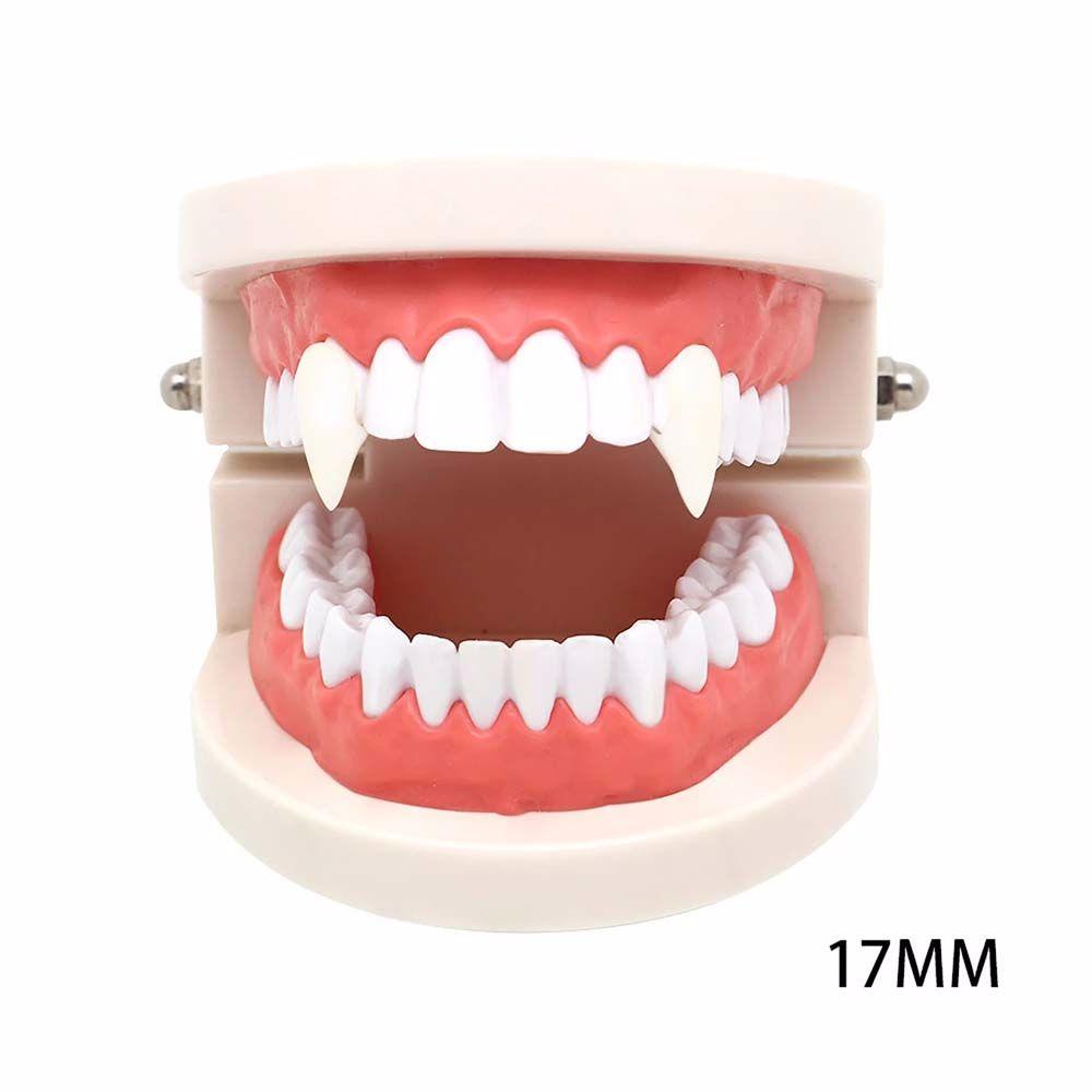 Bộ 2 Hộp Răng Giả Bằng Nhựa Resin An Toàn Cho Bé Và Người Lớn