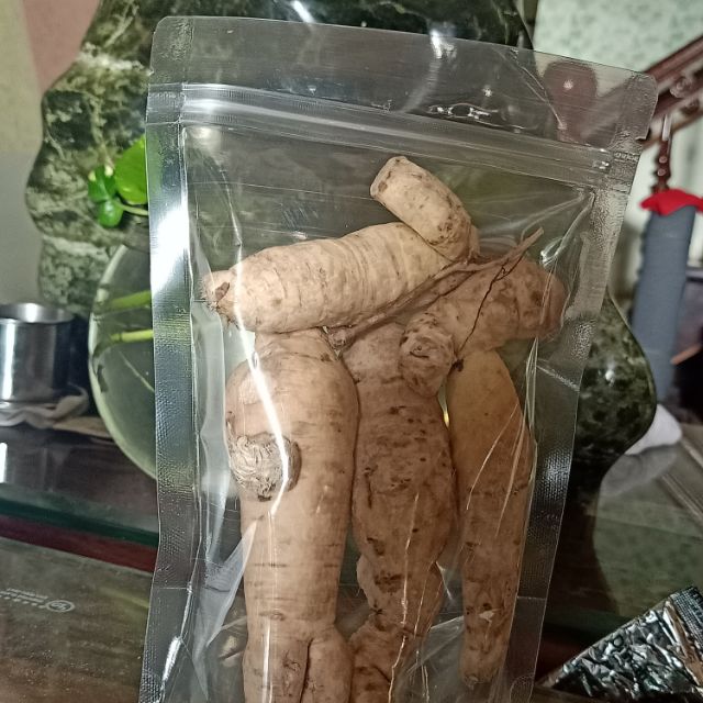 Sâm bố chính . Sâm đất