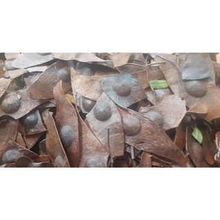1kg quả cẩm lai giống
