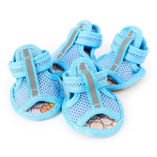 Giày dép sandal cho thú cưng
