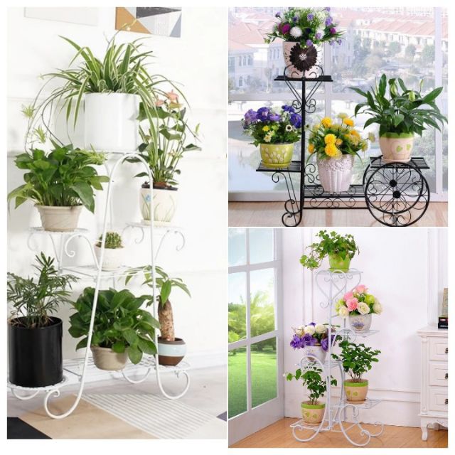 Sỉ các mẫu để chậu cây cảnh