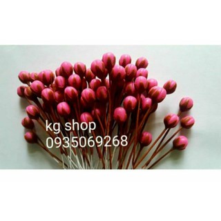 Nụ đào đậm (100sp).Sản phẩm loại 1