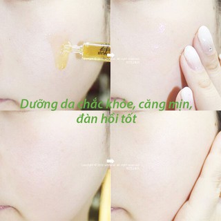 [Siêu sale xả kho] Tế bào gốc ELDAS EG Tox Program Coreana