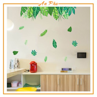 Decan Dán Tường An Phú Decor Rừng Nhiệt Đới