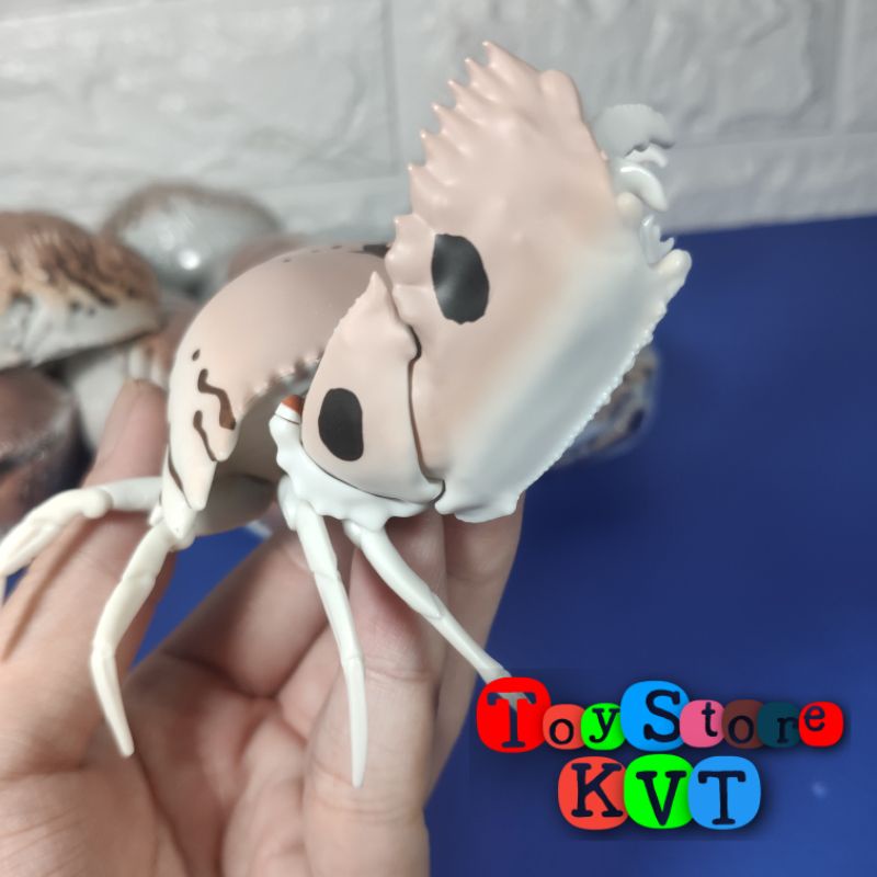 Mô Hình Gachapon Cua Hộp Sọc đỏ Red-streaked Box Crab (Dango Mushi 06 by Bandai)